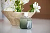 Lacoste L.12.12 Blanc Eau Intense
