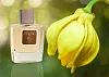 Franck Boclet Ylang Ylang