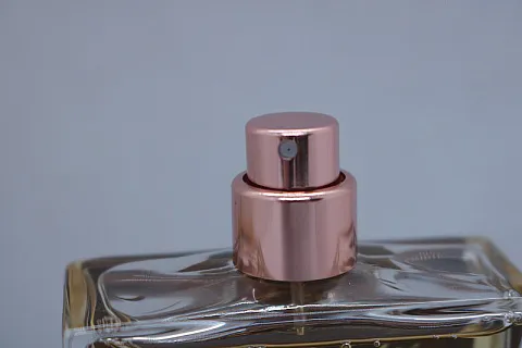 Juliette Has A Gun Metal Chypre