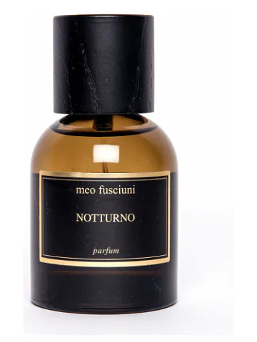 Meo Fusciuni Notturno