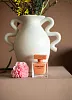 Narciso Rodriguez Narciso Ambree