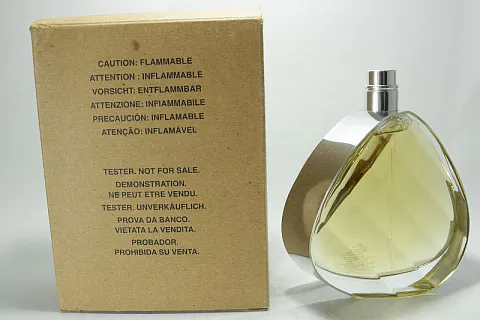 Elizabeth Arden Untold