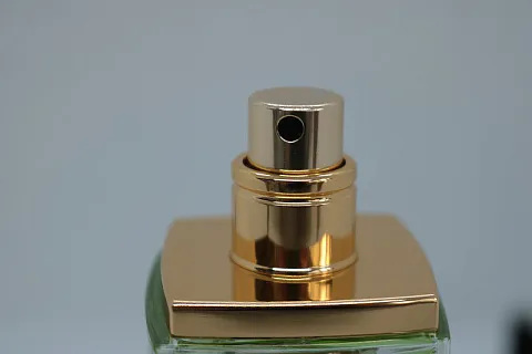 Chanel N°19 Eau de Toilette (2023)