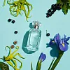 Tiffany & Co Sheer туалетная вода