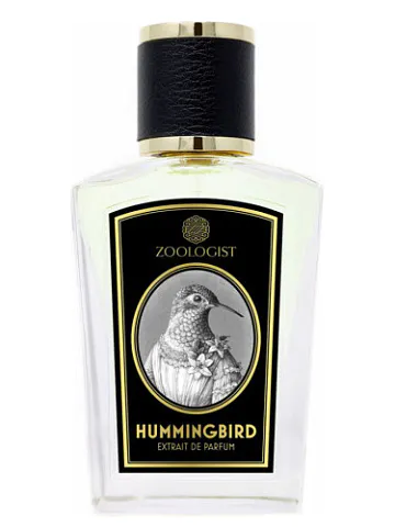Zoologist Hummingbird