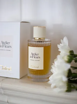 Chloe Cedrus Intense