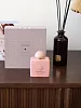 Amouage Guidance
