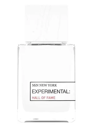 MiN New York Hall of Fame