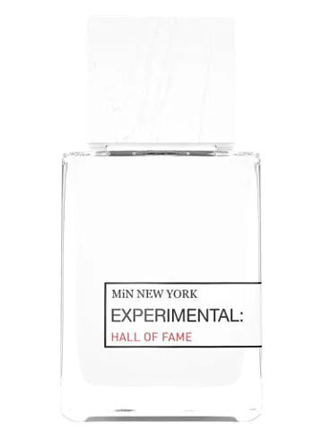 MiN New York Hall of Fame