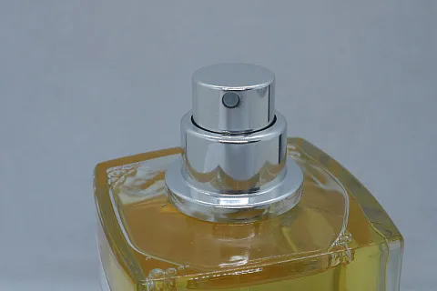 Chanel Sycomore
