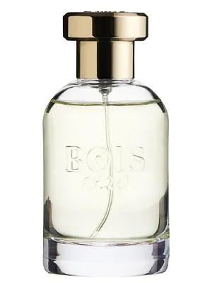 Bois 1920 Parana