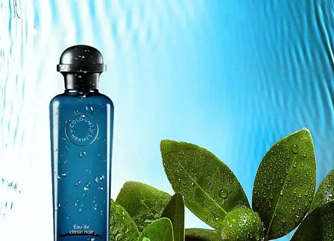 Hermes Eau De Citron Noir