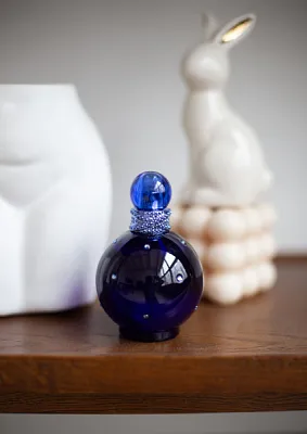 Britney Spears Midnight Fantasy