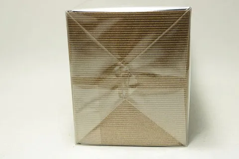Angel Schlesser Homme Oriental Edition