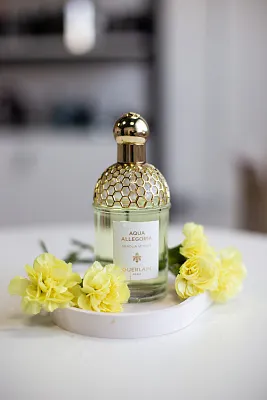 Guerlain Aqua Allegoria Nerolia Vetiver