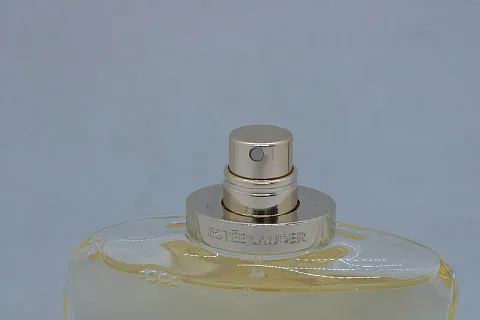 Estee Lauder Beautiful Belle