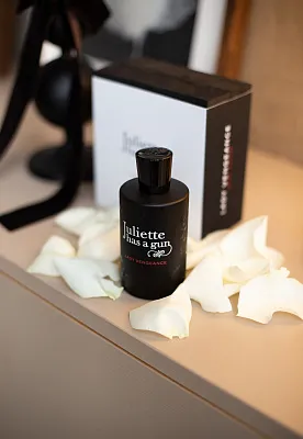 Juliette Has A Gun Lady Vengeance