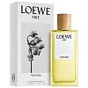 Loewe Aire Fantasia