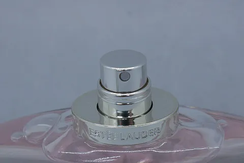 Estee Lauder Beautiful Magnolia