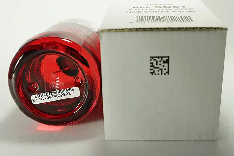Dsquared2 Red Wood