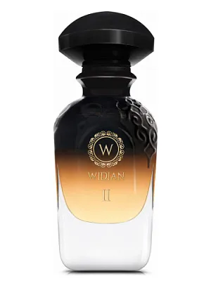 WIDIAN Black II