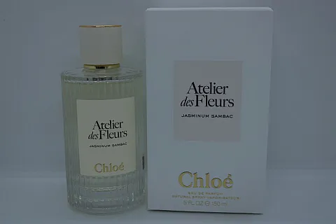 Chloe Jasminum Sambac