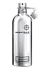 Montale Patchouli Leaves