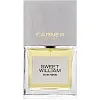 Carner Barcelona Sweet William