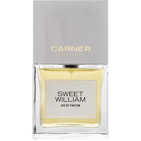 Carner Barcelona Sweet William
