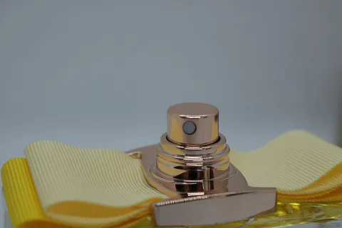 Salvatore Ferragamo Signorina Libera