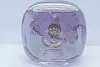 Sarah Jessica Parker Covet Pure Bloom