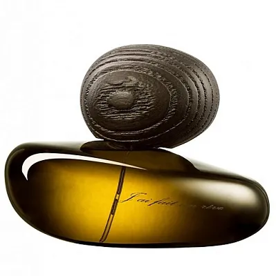 Majda Bekkali J'ai Fait Un Reve Obscur