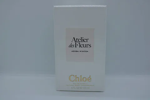 Chloe Herba Mimosa
