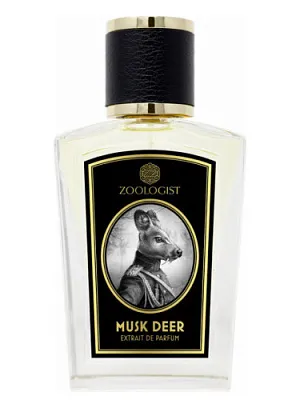 Zoologist Musk Deer