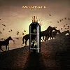 Montale Arabians Tonka парфюмерная вода
