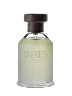 Bois 1920 Ancora Amore