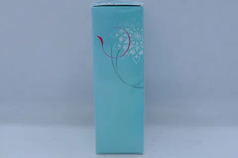 Salvatore Ferragamo Incanto Charms