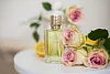 Ex Nihilo Cologne 352