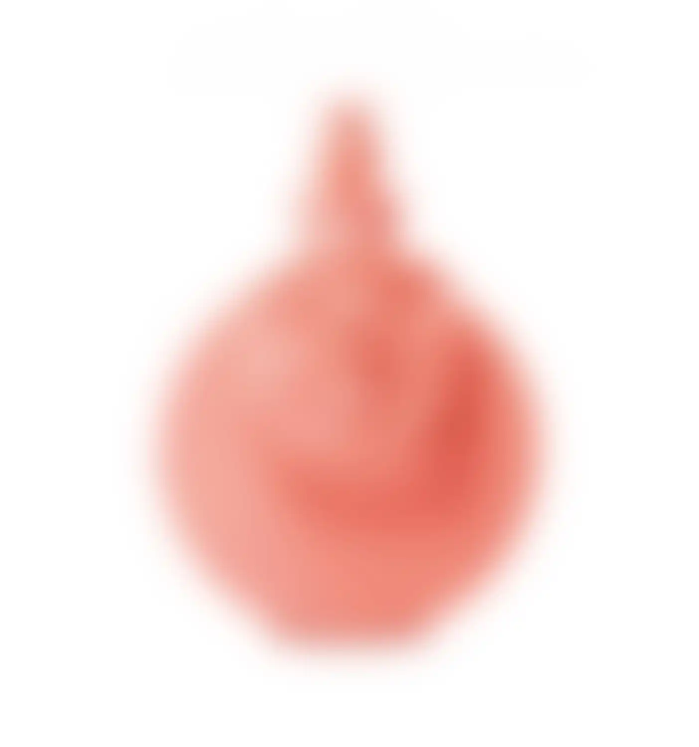 Valentino Valentina Blush
