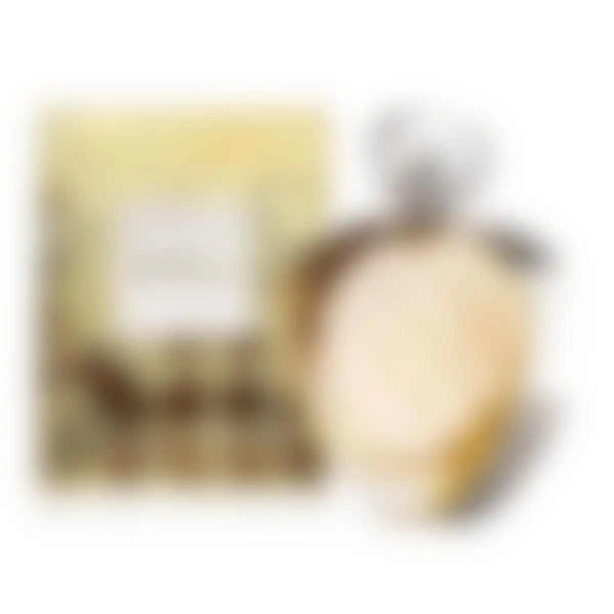 Elizabeth Arden Untold