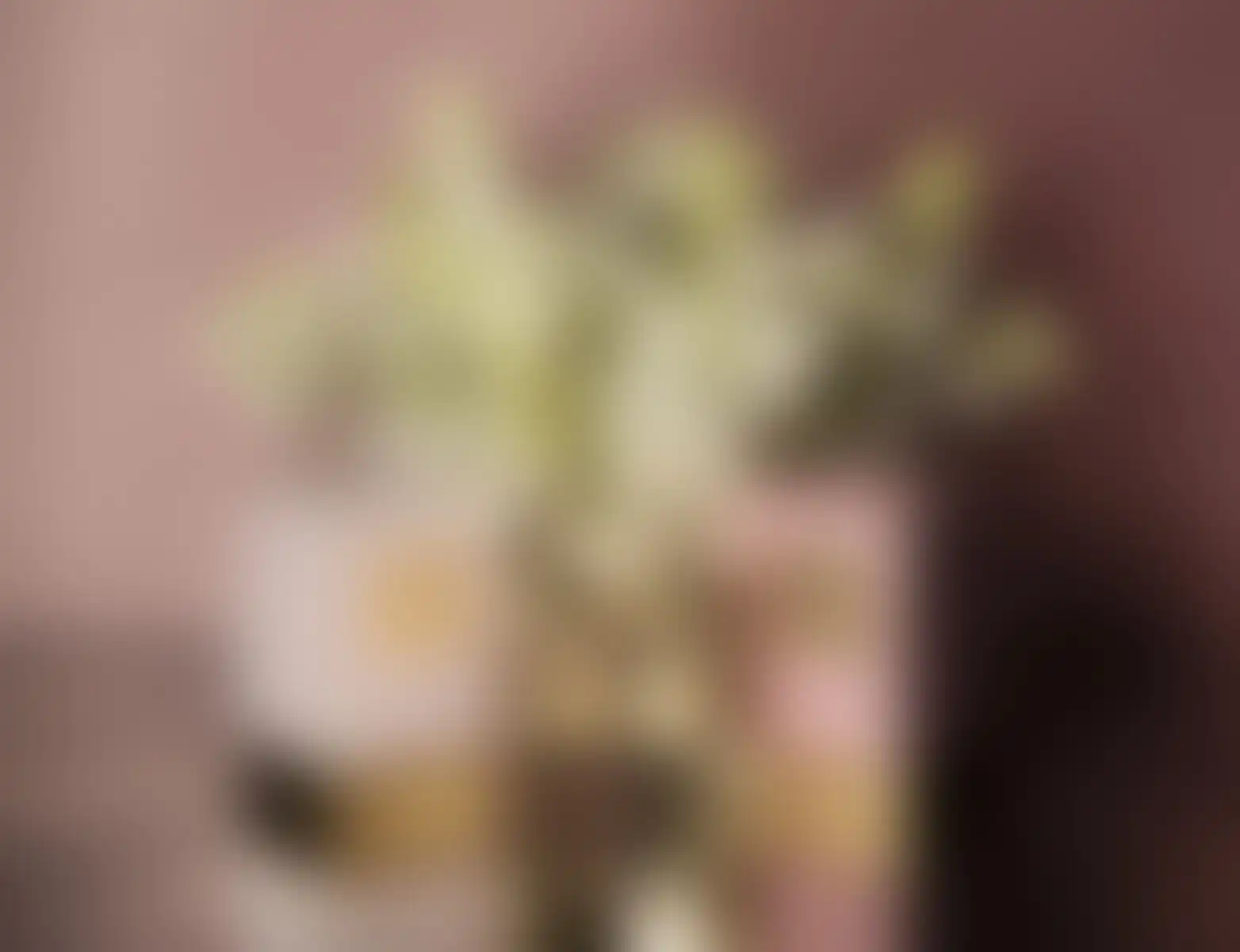 Aerin Lauder Tuberose Le Jour парфюмерная вода