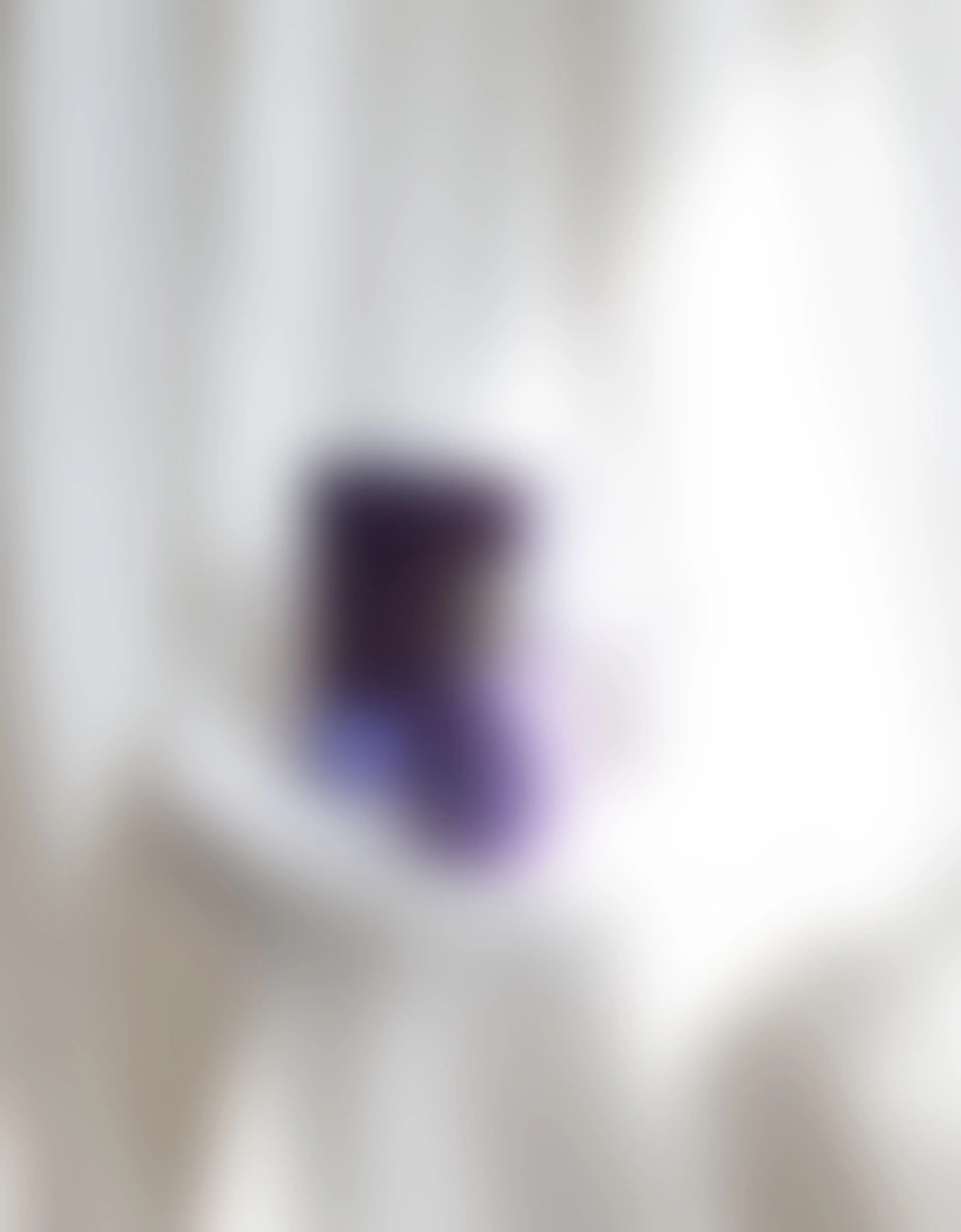 Max Philip Violet
