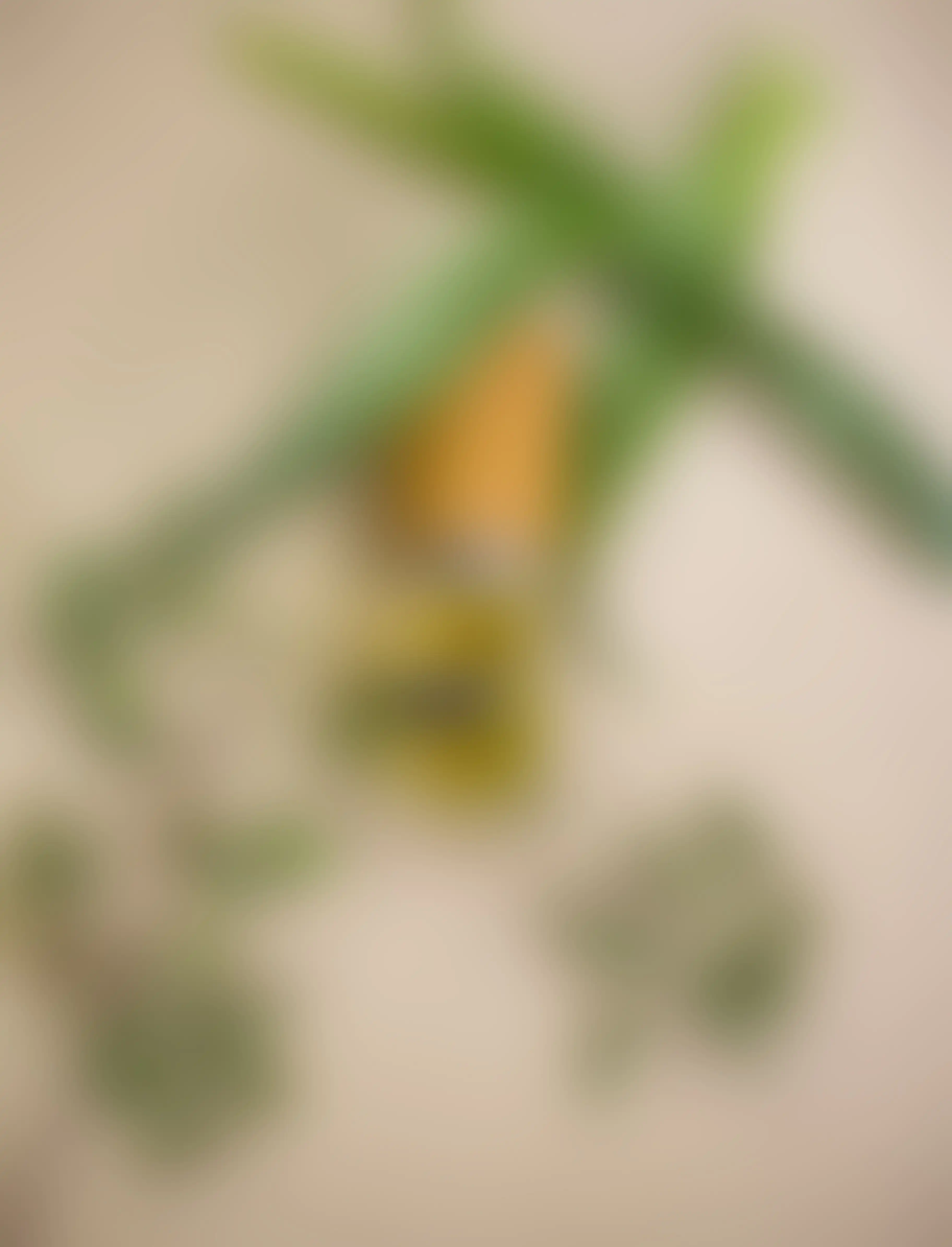 Nasomatto Hindu Grass