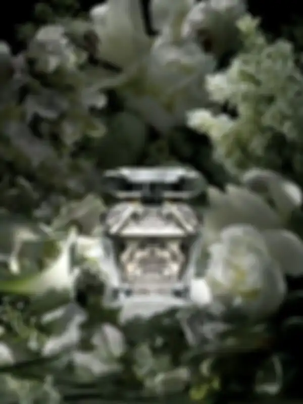 Badgley Mischka Fleurs de Nuit парфюмерная вода