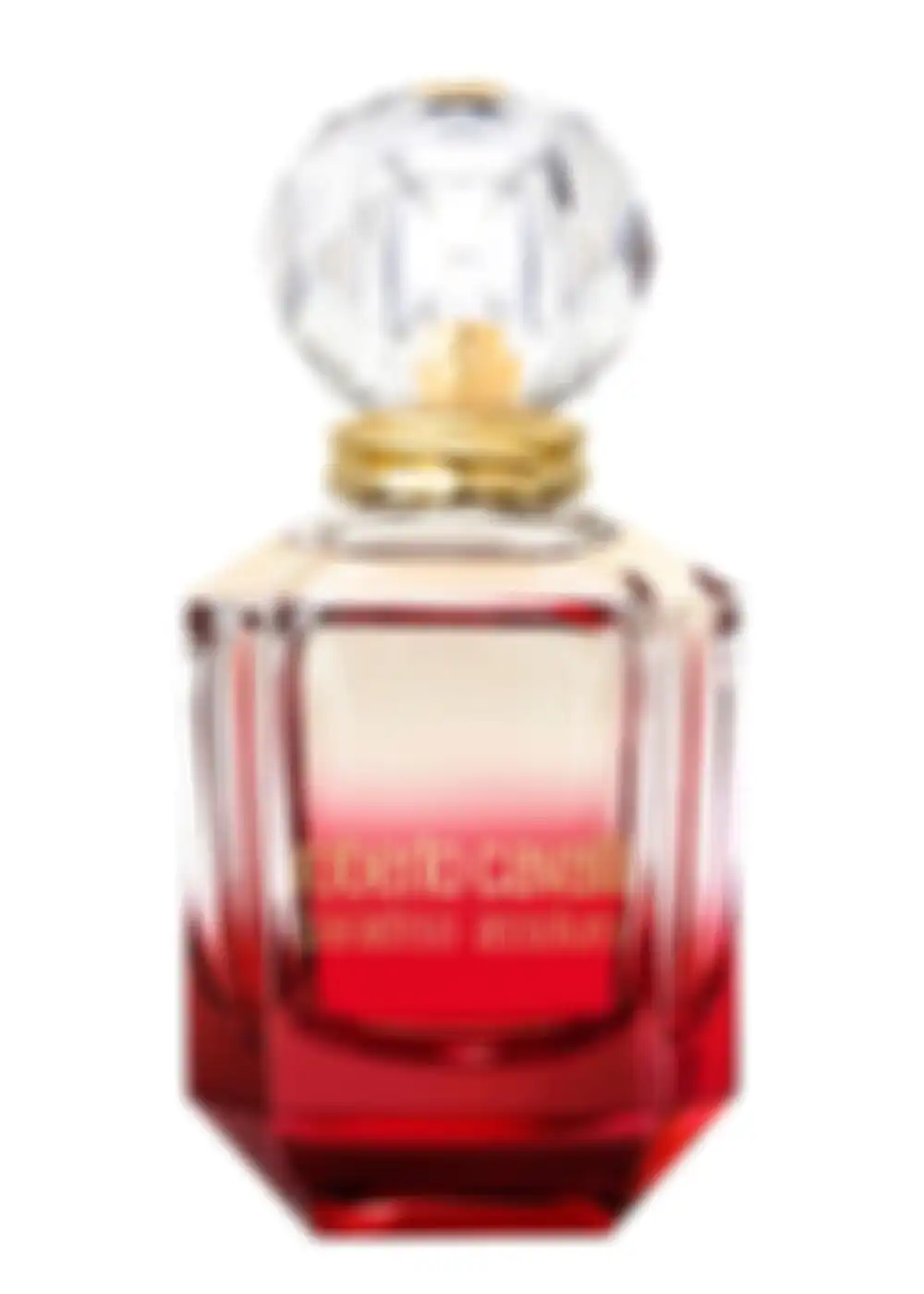Roberto Cavalli Paradiso Assoluto