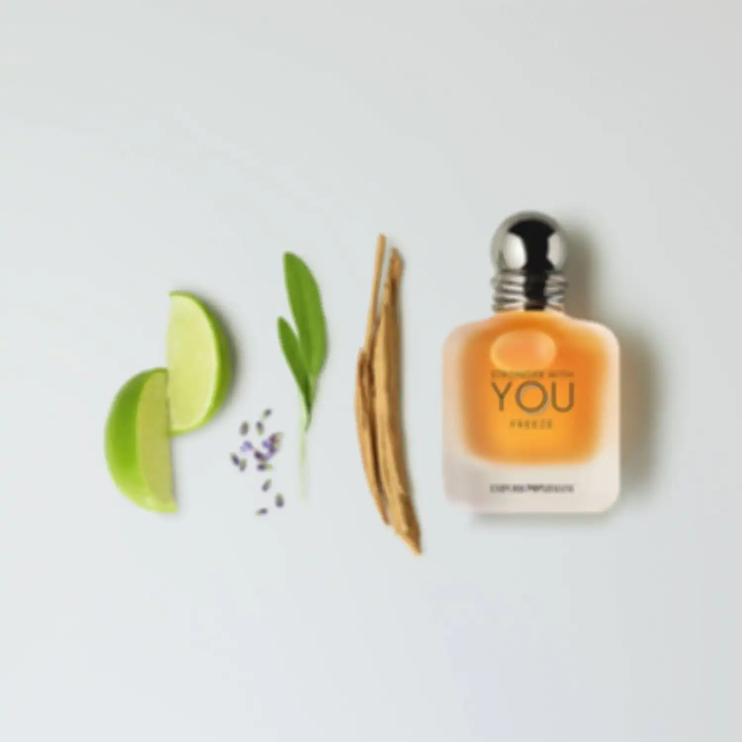 Giorgio Armani Stronger With You Freeze туалетная вода