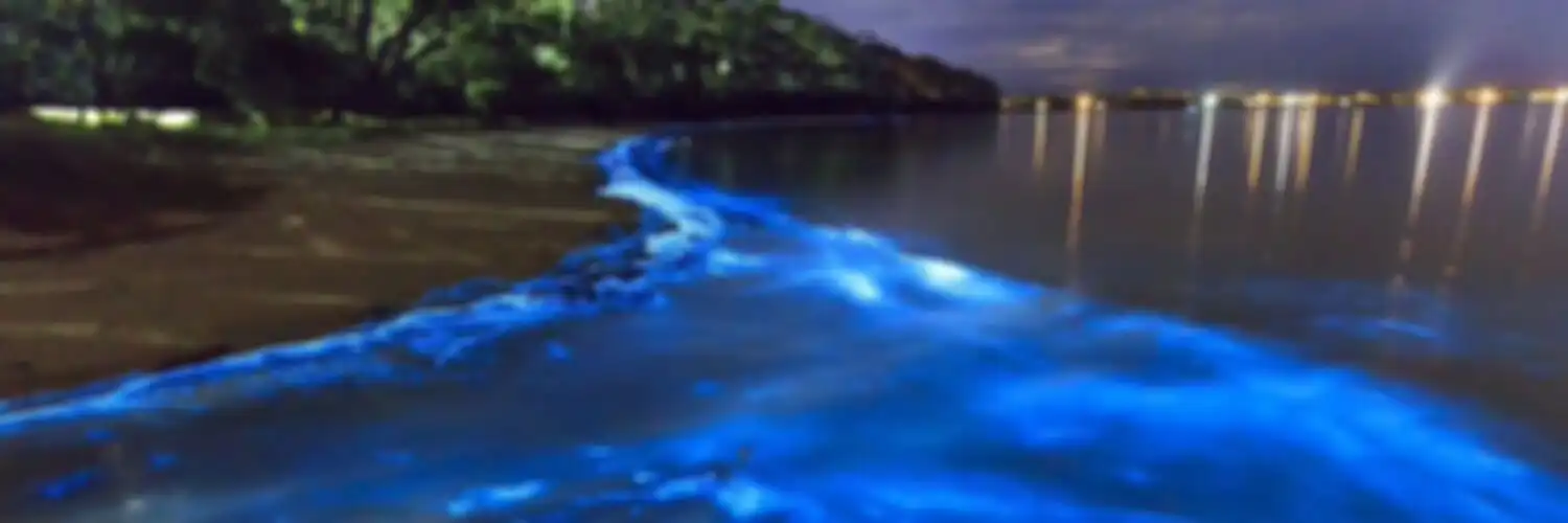 Memo Vaadhoo парфюмерная вода