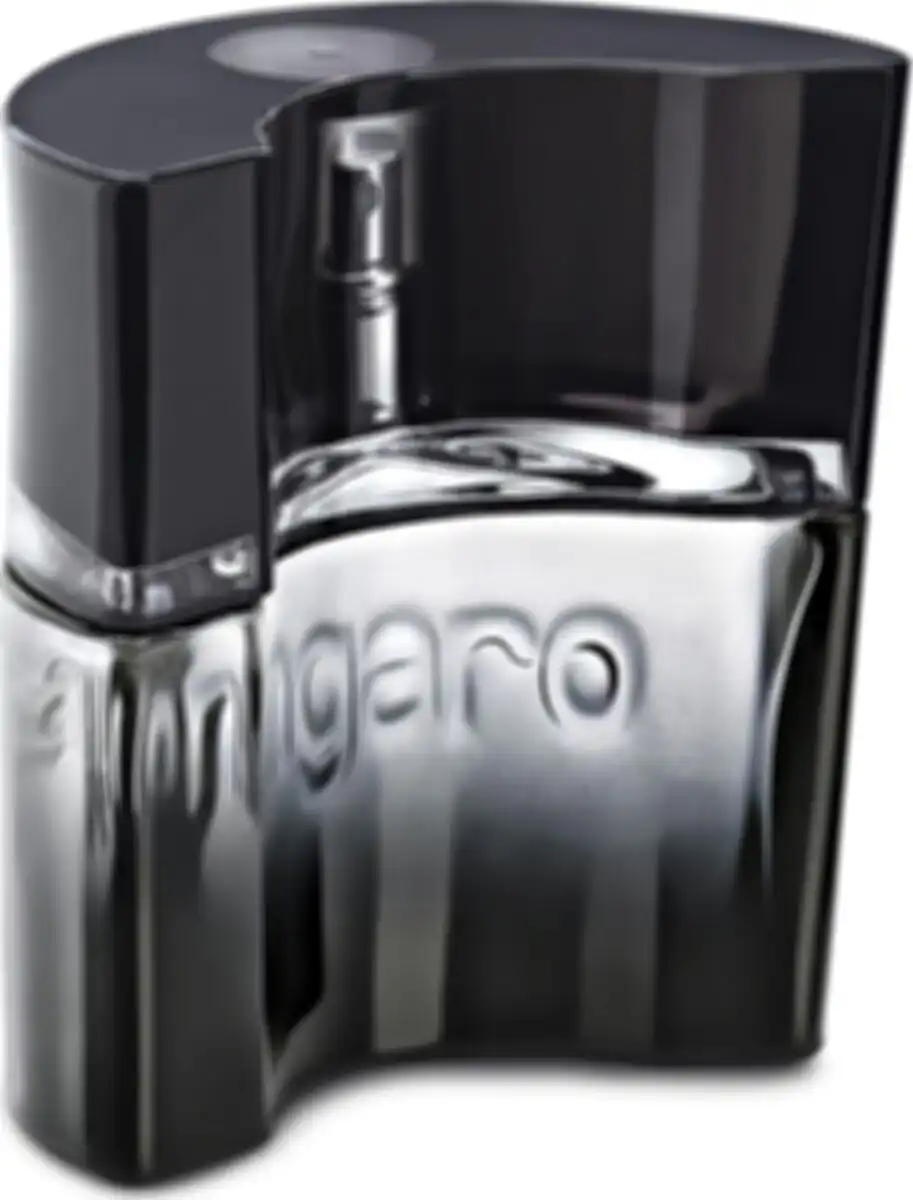 Emanuel Ungaro Masculin туалетная вода