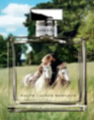 Ralph Lauren Romance парфюмерная вода