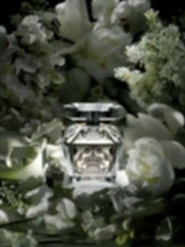 Badgley Mischka Fleurs de Nuit парфюмерная вода